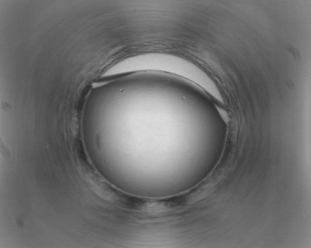 X0000090620413200708071229