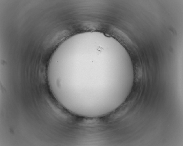 X0000090620414200708071229