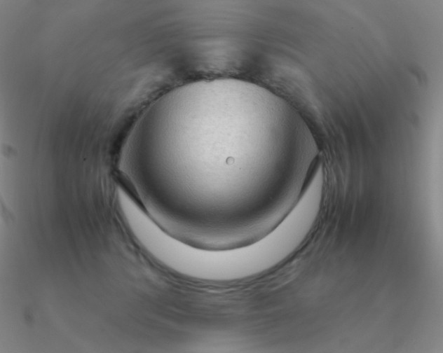 X0000090620416200708071229