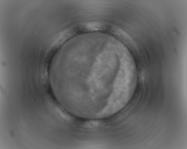 X0000090620418200708071229