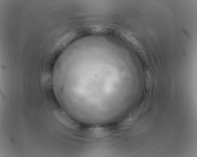 X0000090620419200708071229