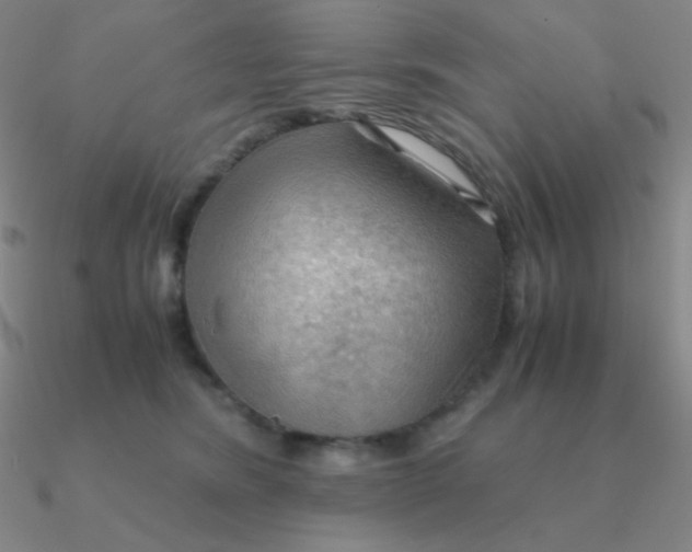 X0000090620420200708071229