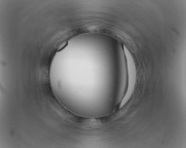 X0000090620421200708071229