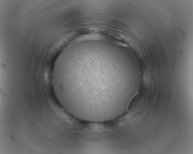 X0000090620424200708071229