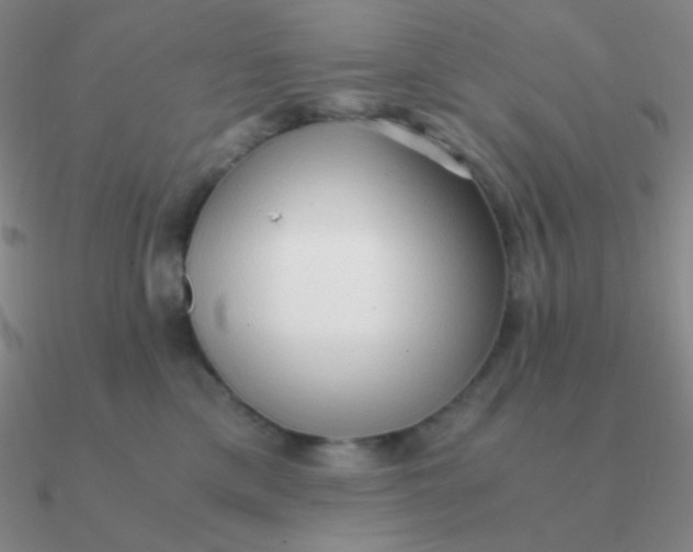 X0000090620425200708071229