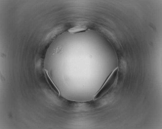 X0000090620428200708071229