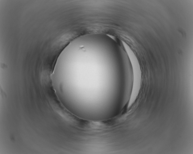 X0000090620429200708071229