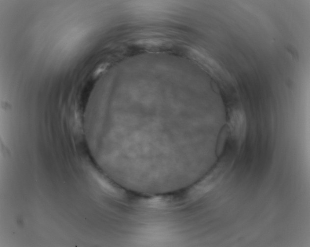 X0000090620430200708071229