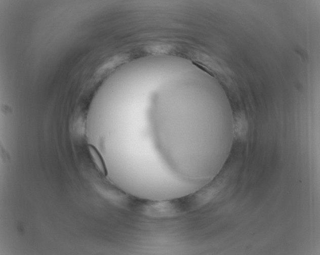 X0000090620431200708071228