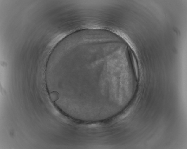 X0000090620433200708071228