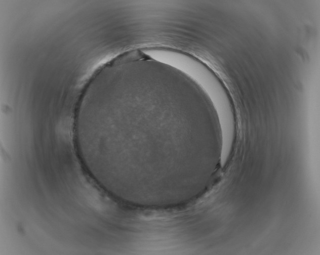 X0000090620434200708071228