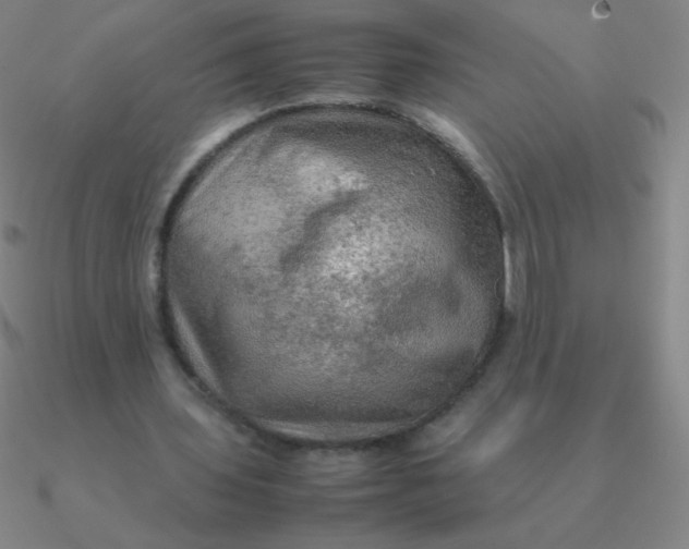 X0000090620435200708071228