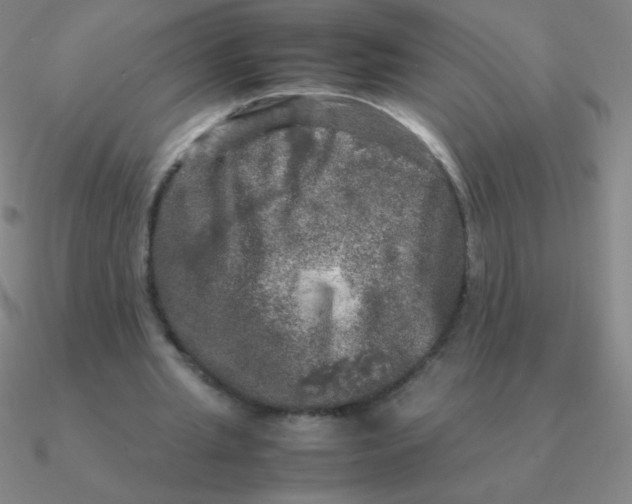 X0000090620437200708071228