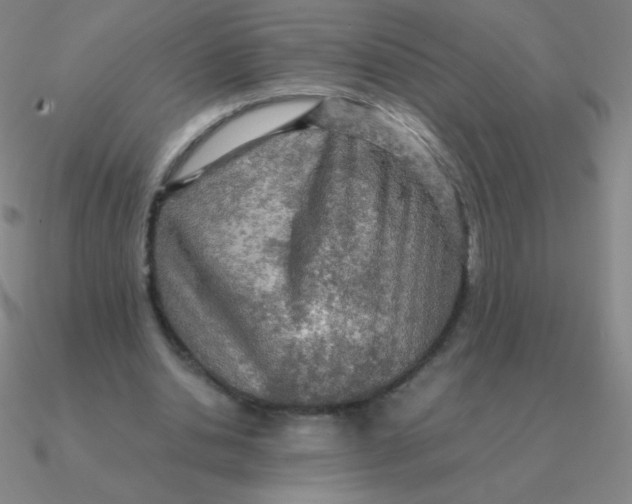 X0000090620438200708071228