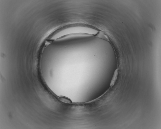 X0000090620440200708071228