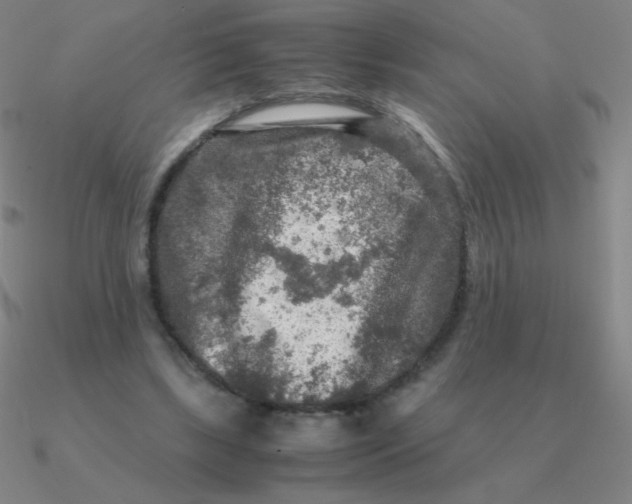 X0000090620443200708071228