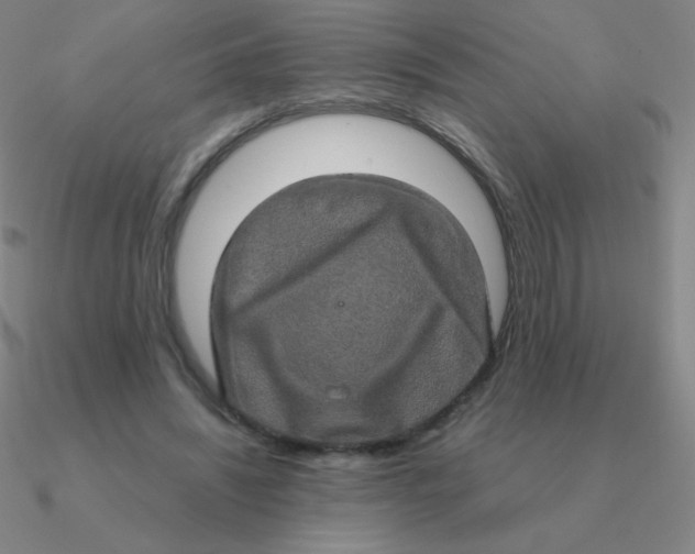 X0000090620444200708071228