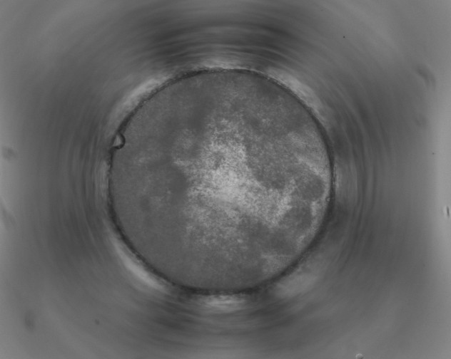 X0000090620445200708071228