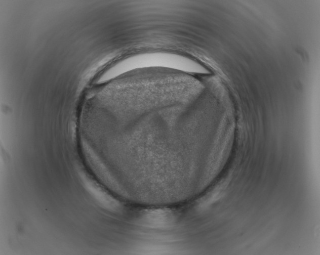 X0000090620446200708071228