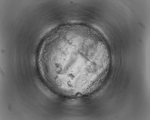 X0000090620447200708071228