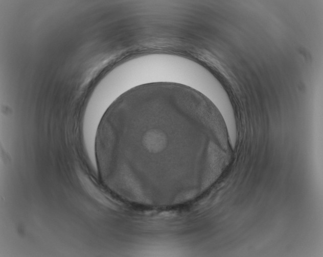 X0000090620448200708071228