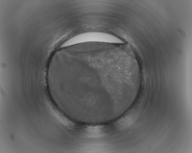 X0000090620450200708071228