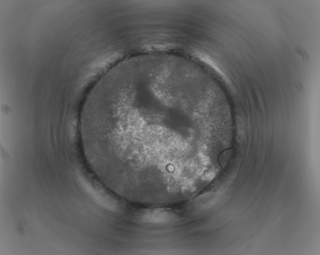 X0000090620451200708071228