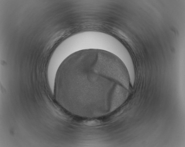 X0000090620452200708071228