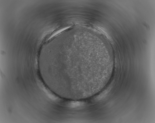 X0000090620453200708071228