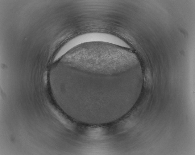 X0000090620454200708071228