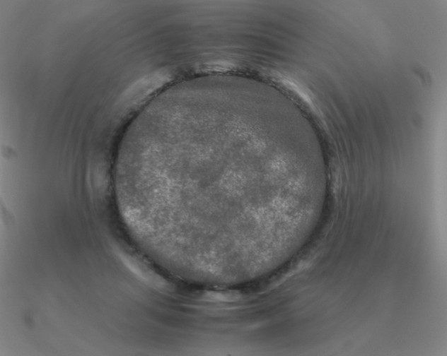 X0000090620455200708071228