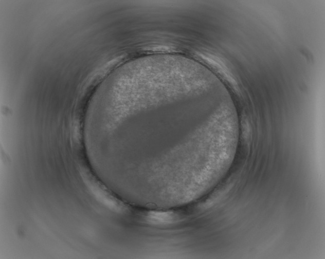 X0000090620457200708071228