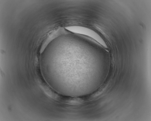 X0000090620459200708071228