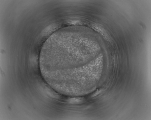 X0000090620461200708071228