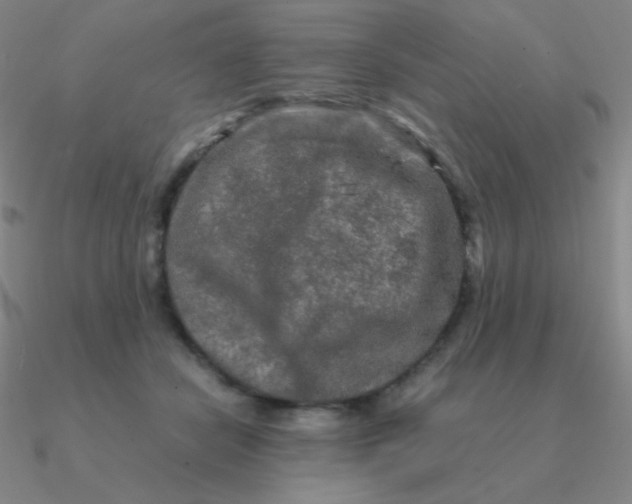 X0000090620462200708071228