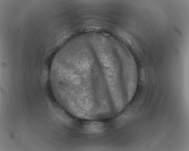 X0000090620463200708071228