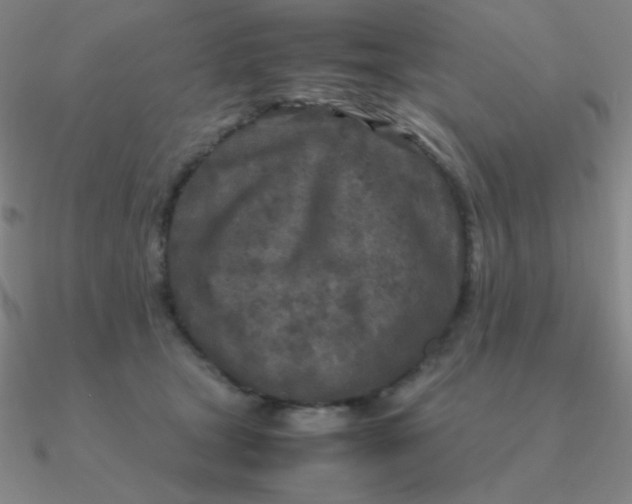 X0000090620465200708071228