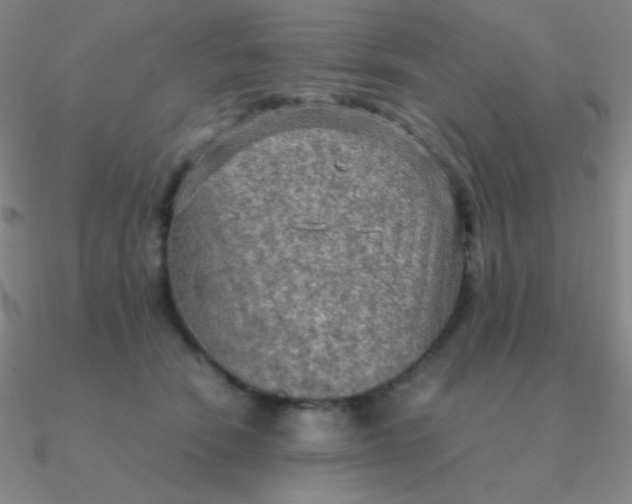 X0000090620466200708071228