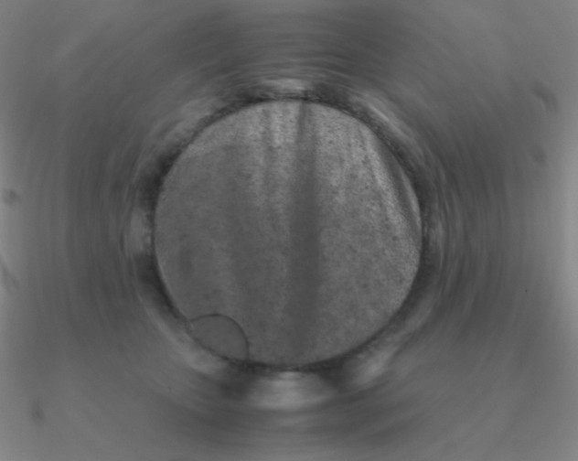 X0000090620467200708071228