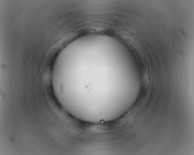 X0000090620468200708071228