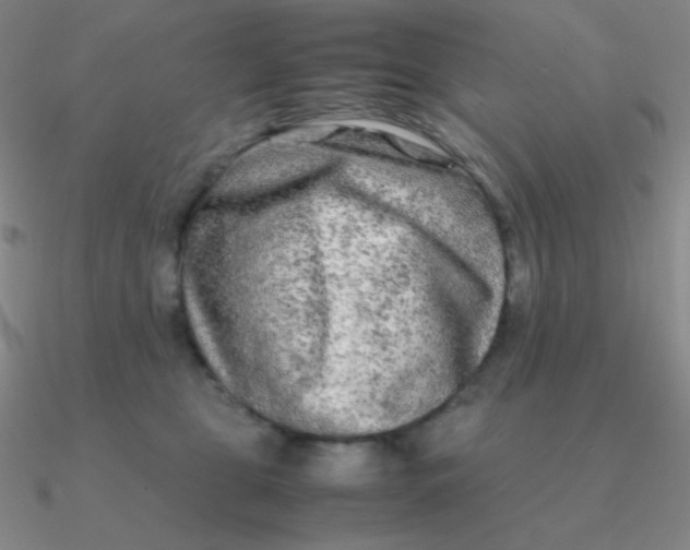 X0000090620469200708071228