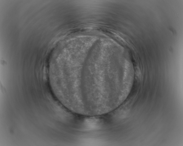 X0000090620470200708071228