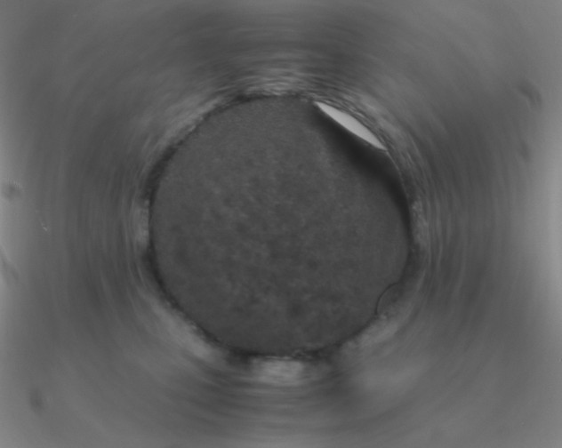 X0000090620471200708071228