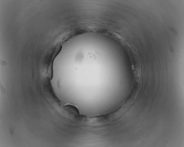 X0000090620472200708071228