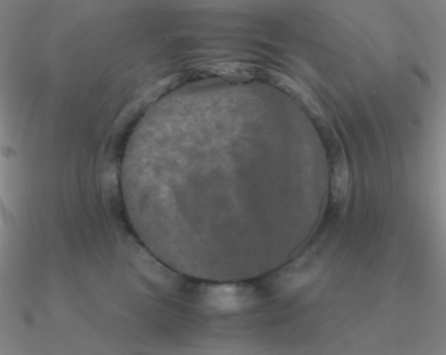 X0000090620473200708071228