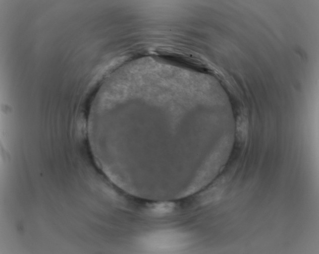 X0000090620474200708071228