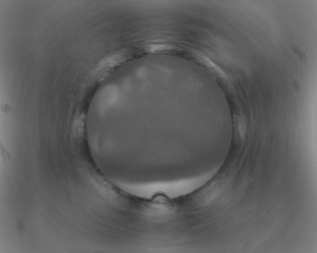 X0000090620475200708071228