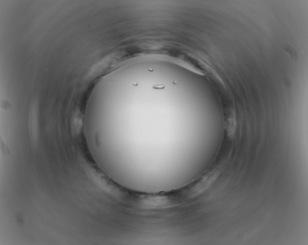 X0000090620476200708071228