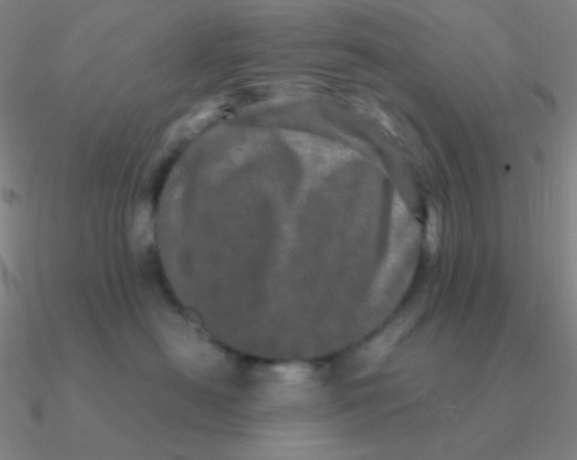 X0000090620478200708071228