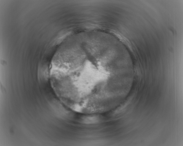 X0000090620479200708071228